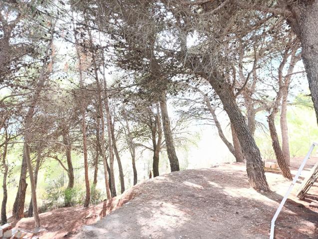 Finca rústica con vistas panorámicas en plena Sierra de las Nieves 🌿 photo 0