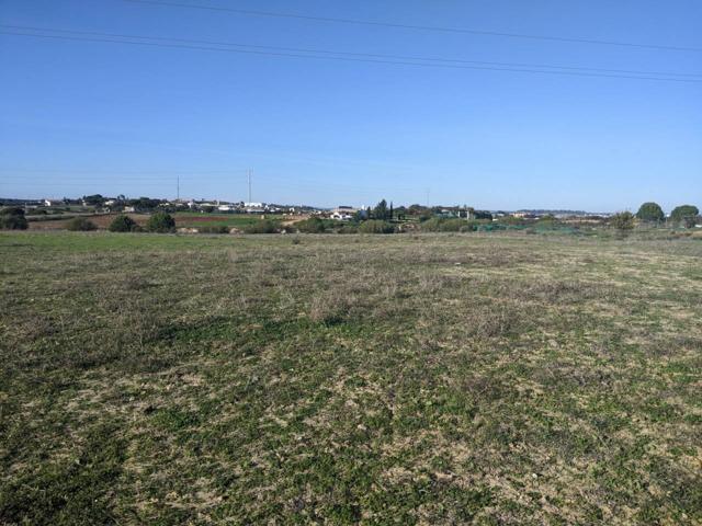 PRECIOSA FINCA RUSTICA AL LADO DEL PUEBLO photo 0