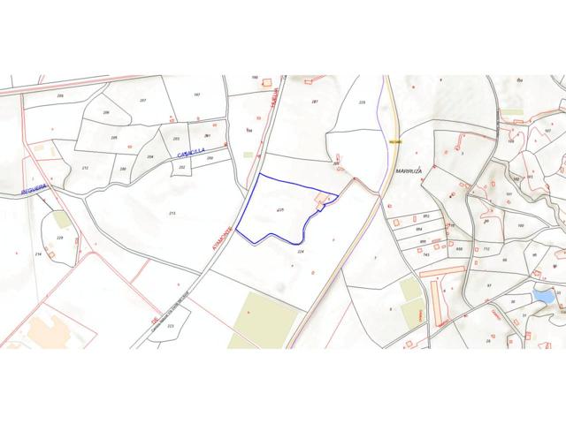 VENTA DE FINCA RUSTICA EN LEPE photo 0