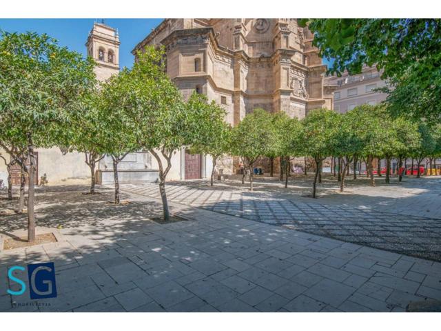 Local En alquiler en Granada photo 0