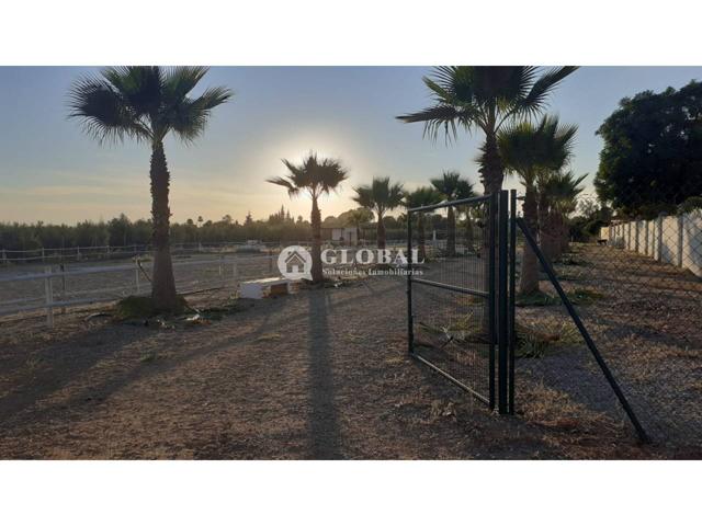 OPORTUNIDAD!! FINCA RUSTICA CON POZO LEGALIZADO, VALLADA, LUZ Y CODIGO DE EXPLOTACIÓN PARA CABALLOS!!! photo 0