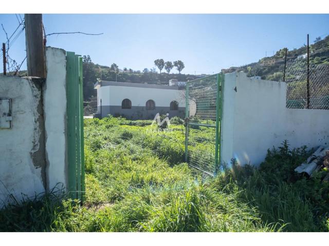 SE VENDE CASA CON TERRENO EN MATEO-LAS LAGUNETAS photo 0