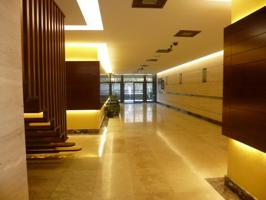Oficina en alquiler en Derio de 210 m2 photo 0