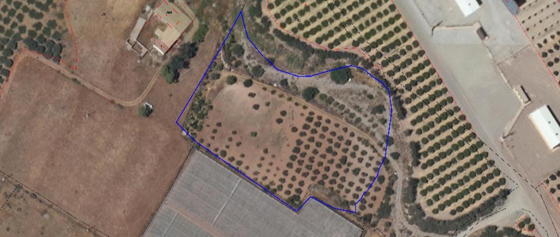 Terreno Rústico en Lorca, La Hoya por photo 0