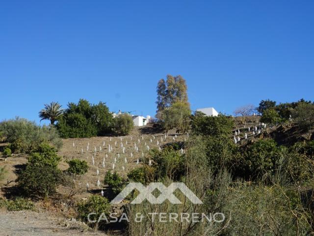 Granja En venta en Viñuela photo 0