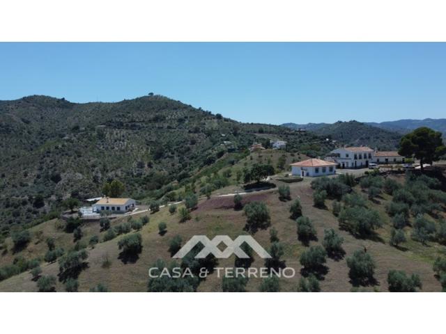Local En venta en Comares photo 0