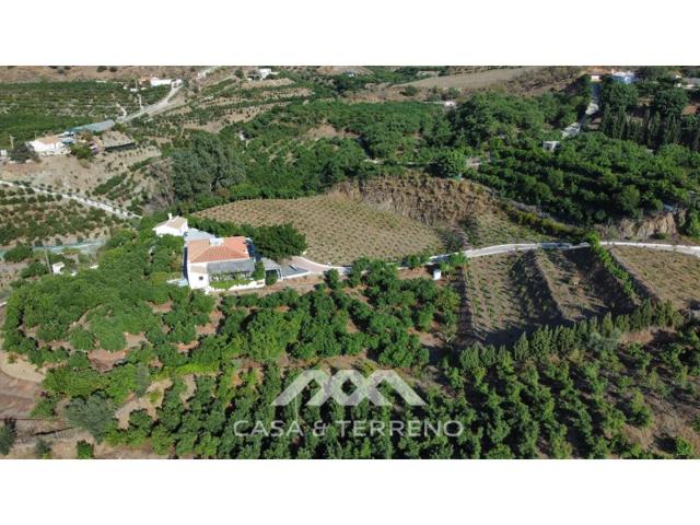 Local En venta en Camino Algarrobo - Las Arenas, Vélez-Málaga photo 0