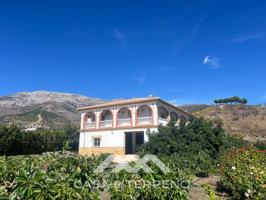 Local En venta en Sedella photo 0