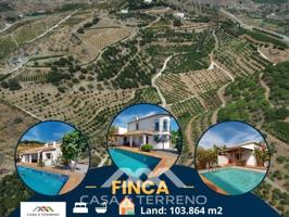Local En venta en Vélez-Málaga photo 0