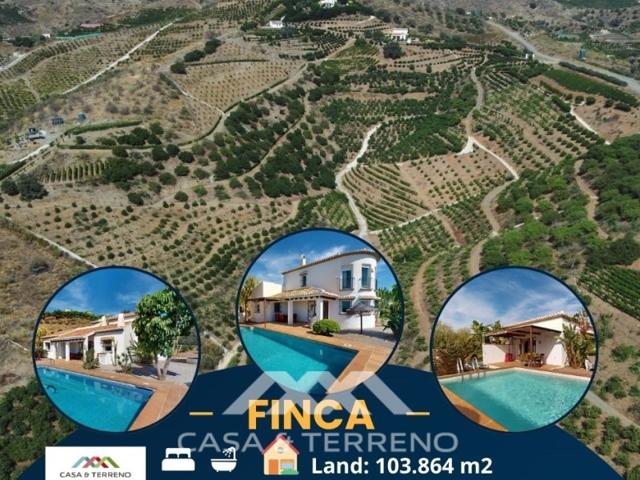 Local En venta en Vélez-Málaga photo 0