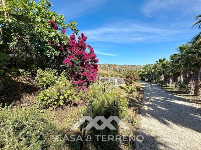 Casa De Campo En venta en Vélez-Málaga photo 0