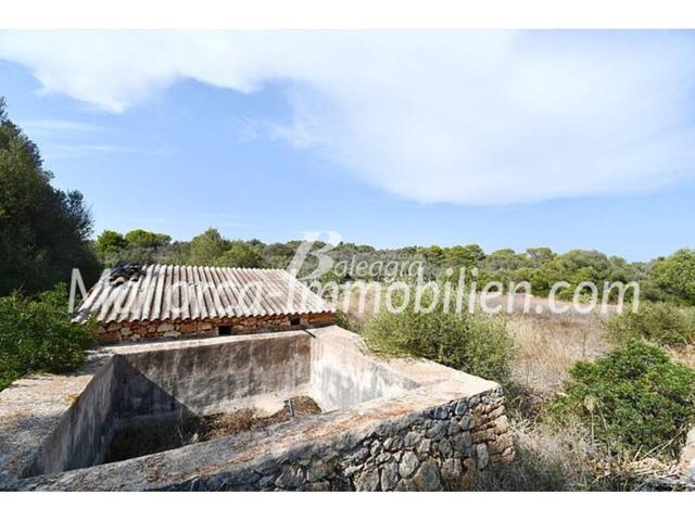 Parcela con caseta de jardín de 70 m² cerca de Porto Petro, Mallorca photo 0