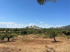TERRENO EDIFICABLE CON VISTAS PANORÁMICAS ES CARRITXO MALLORCA photo 0