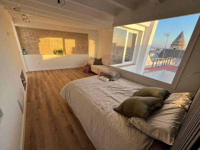 Alquiler de temporada corta de Fantástico Ático en Casco Antiguo de Cádiz con vistas 180º photo 0