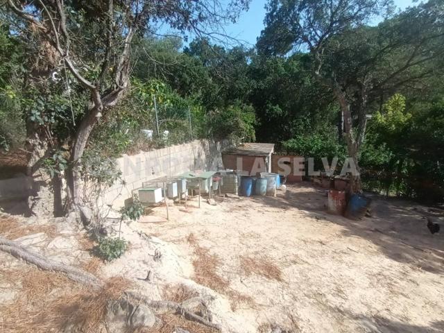 Terreno en venta en Comajuliana photo 0