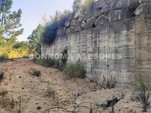 Terreno en venta en Riudarenes photo 0
