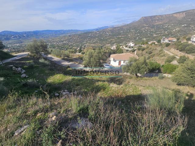 PRECIOSA PARCELA CON ACCESO FÁCIL photo 0