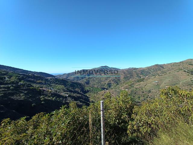 FINCA DE REGADIO CON MAS DE 1000 ARBOLES EN PRODUCCION photo 0