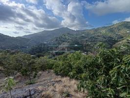 ESPECTACULAR FINCA CON ARBOLES FRUTALES photo 0