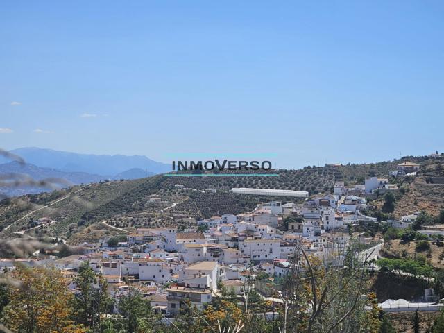 TERRENO EN IZNATE photo 0