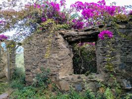 ¡ FINCA RÚSTICA DE 45.408 METROS EN PLENA NATURALEZA, A 3 KILÓMETROS DE RINCÓN DE LA VICTORIA! photo 0