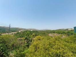 TERRENO URBANO EN TRIANA CON CONSTRUCIÓN Y FINCA CON ARBOLES FRUTALES photo 0
