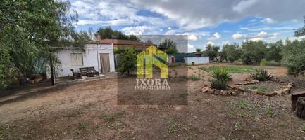 Amplia Parcela de 2000m2 en San Roque (Linares) photo 0