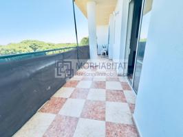 barrio romano photo 0