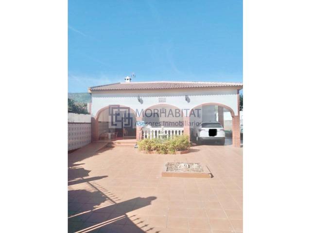 pinos del mar photo 0