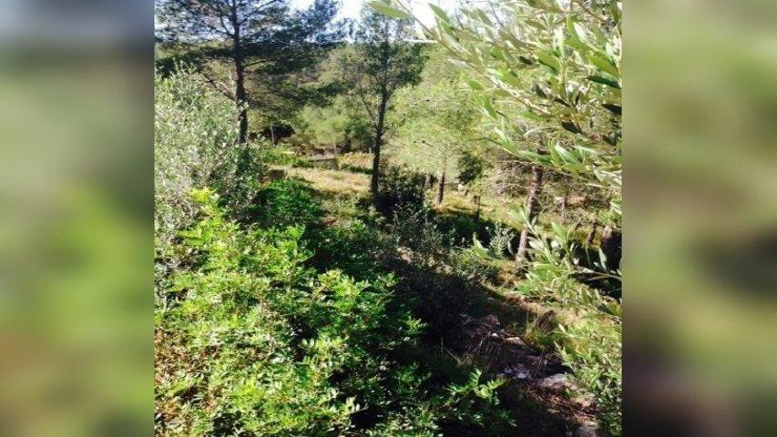 🌳 Terreno Urbano en Venta - Can Gordei, La Bisbal del Penedès (Tarragona) photo 0
