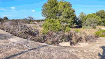 Suelos en venta en Creixell (Tarragona) photo 0