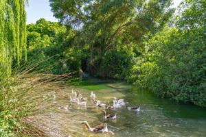¿Sueñas con vivir en plena naturaleza, rodeado de tranquilidad y belleza? photo 0