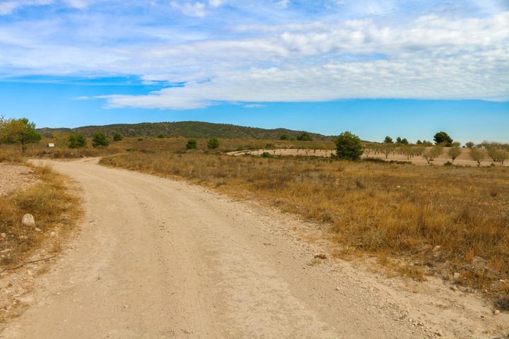 Terreno no urbano en Jumilla photo 0