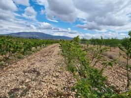 SE VENDE PARCELA EN PINOSO (ALICANTE) SPAIN photo 0