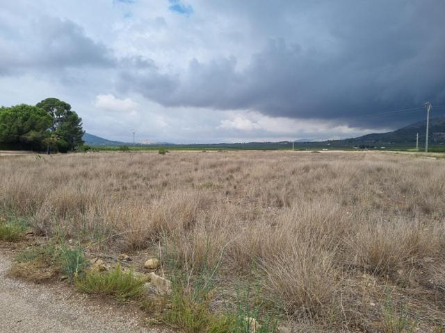 SE VENDE PARECELA MUY BUENA UBICACIÓN EN LA ZONA DE HONDÓN (MONOVAR) ALICANTE photo 0