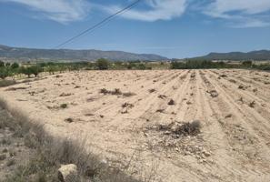 SE VENDE PARCELA EN UBEDA (PINOSO) ALICANTE photo 0
