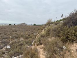 SE VENDE TERRENO RUSTICO EN MONFORTE DEL CID (ALICANTE) photo 0