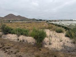 SE VENDE TERRENO RUSTICO EN MONFORTE DEL CID (ALICANTE) photo 0