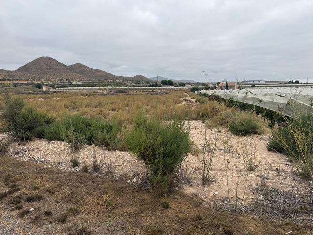 SE VENDE TERRENO RUSTICO EN MONFORTE DEL CID (ALICANTE) photo 0