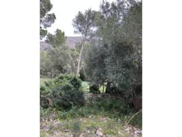 Venta de terreno en Alcúdia photo 0