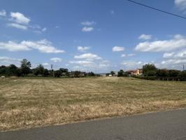 Terreno en venta en Llanera photo 0