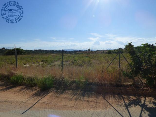 Se vende CAMPA frente a la Repsol de Ventacabrera photo 0
