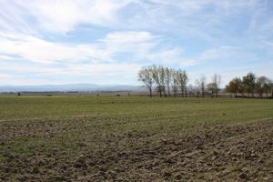 Venta de parcela para construir, Collado Contreras, Ávila photo 0