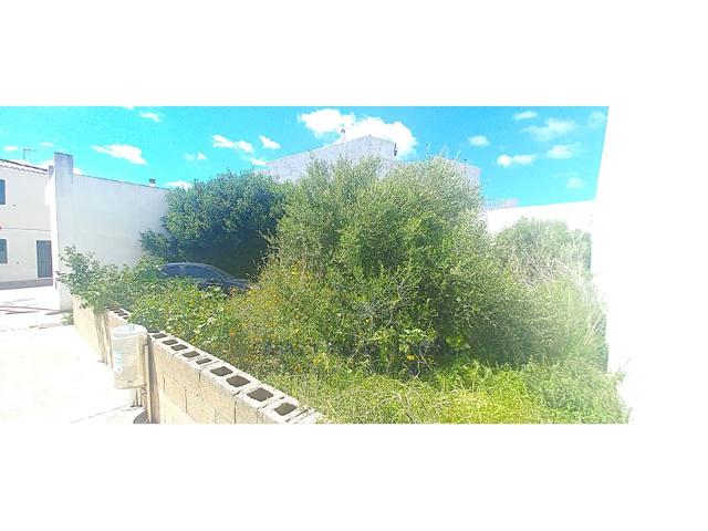 Terreno Urbanizable En venta en Alaior photo 0