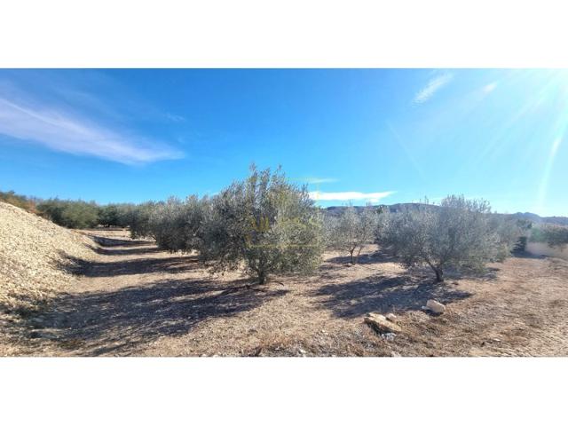 Otro En venta en Hellín photo 0