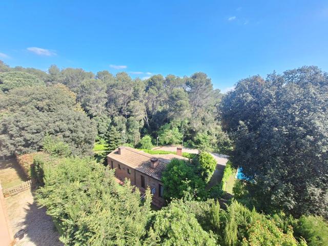 Exclusivo ático en Bellaterra con vistas al bosque y piscina de agua salada photo 0