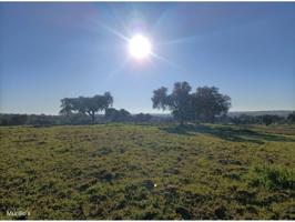 Terreno en venta en Las Vaguadas-Carretera de Valverde photo 0