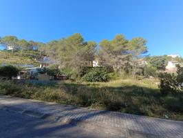 Agrícola En venta en Sant Pere de Ribes photo 0