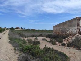 Finca en Crevillente photo 0