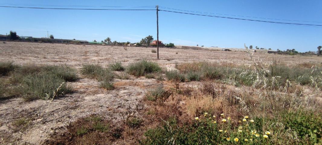 Parcela rustica de 22400m2 en venta en Elche. photo 0